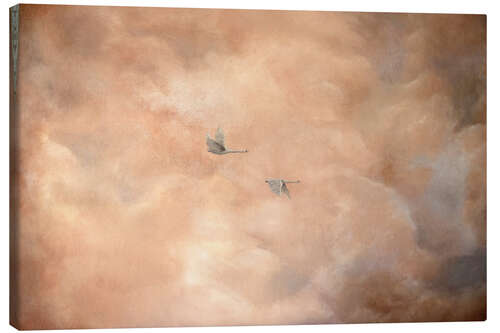 Canvas print Swans in the Clouds