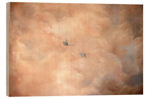 Quadro de madeira Swans in the Clouds