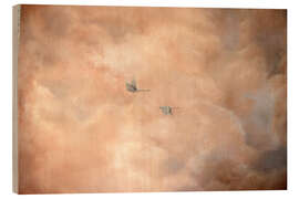 Quadro de madeira Swans in the Clouds - Madelene Löfholm