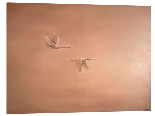 Obraz na szkle akrylowym Pair of swans in flight
