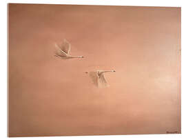 Obraz na szkle akrylowym Pair of swans in flight - Madelene Löfholm