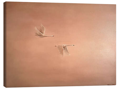 Stampa su tela Pair of swans in flight