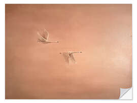 Naklejka na ścianę Pair of swans in flight - Madelene Löfholm