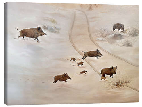Lienzo Wild boar family in the snow