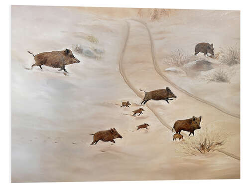 Foam board print Wild boar family in the snow