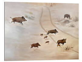 Cuadro de plexi-alu Wild boar family in the snow - Madelene Löfholm