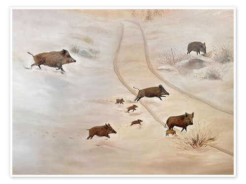 Poster Wild boar family in the snow