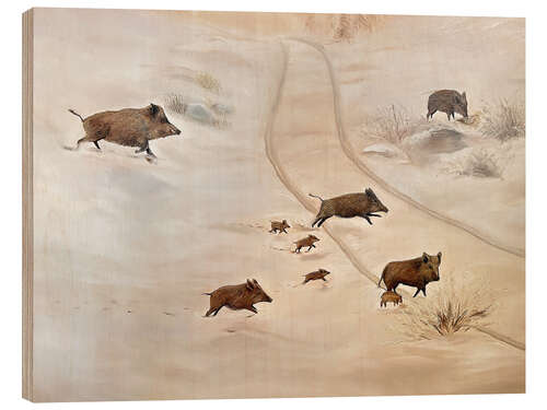 Quadro de madeira Wild boar family in the snow
