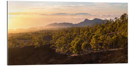 Gallery print Canary sunset