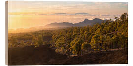 Wood print Canary sunset