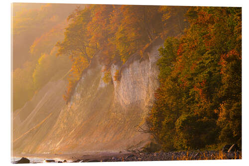 Akryylilasitaulu Autumn on the chalk coast on the island of Rügen