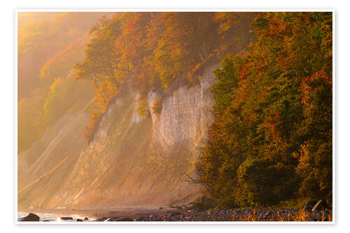 Poster Herbst an der Kreideküste auf Insel Rügen