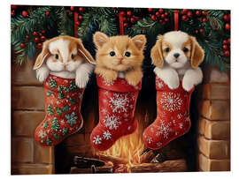 Quadro em PVC Cute Pets in Christmas Stockings - TAlex