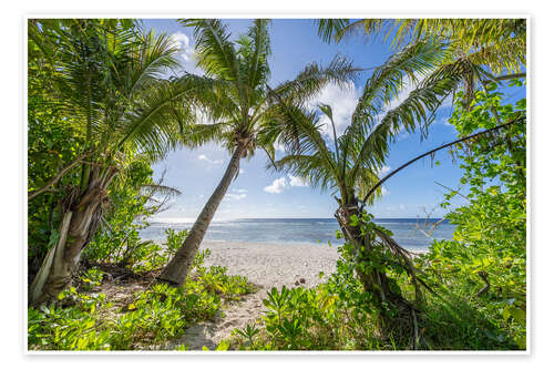 Póster Sea view through the palm trees