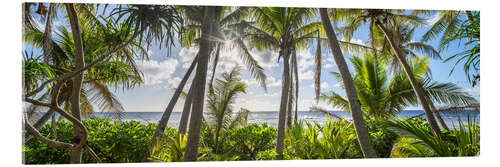 Cuadro de metacrilato Tropical jungle