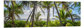 Obraz na szkle akrylowym Tropical jungle - Jan Christopher Becke
