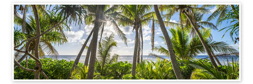 Plakat Tropical jungle
