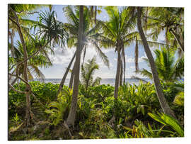 Magnettafel Grüner Dschungel