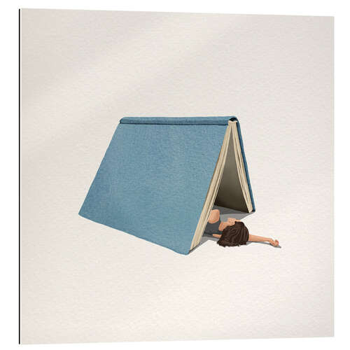 Cuadro de plexi-alu Weekend Book