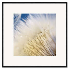 Impresión de arte enmarcada Dandelion Magic - Ludger Föster