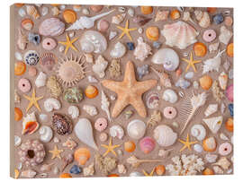 Cuadro de madera Collection of seashells - Assaf Frank