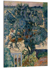 Aluminium print Tree by the River, 1909 - Pierre Bonnard