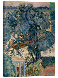 Leinwandbild Baum am Fluss, 1909 - Pierre Bonnard