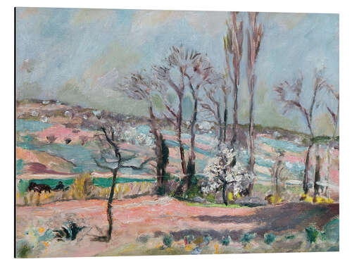 Obraz na aluminium Spring landscape