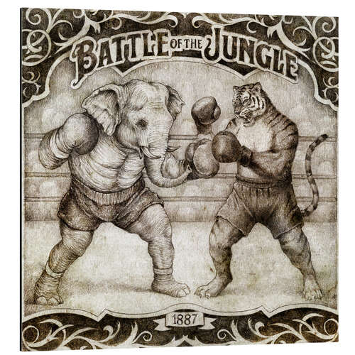 Aluminium print Battle of the Jungle