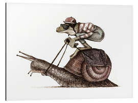 Cuadro de aluminio Snail Racing - Mike Koubou