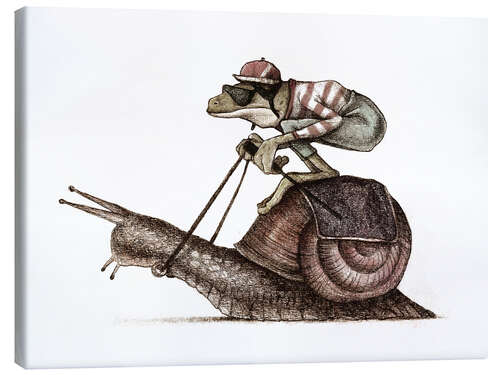 Canvas print Snail Racing