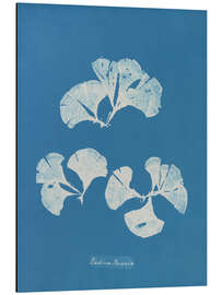 Magnettafel Blue prints - Padina Pavonia