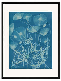 Gerahmter Kunstdruck Blue Prints - Papaver rhoeas