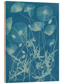 Wood print Blue Prints - Papaver rhoeas