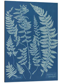 Magnettafel Blue Prints - Ferns