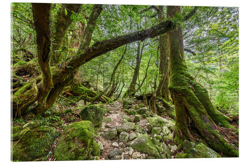 Akrylglastavla In the shade of the trees