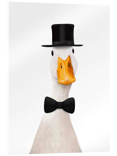 Acrylic print Duck gentleman