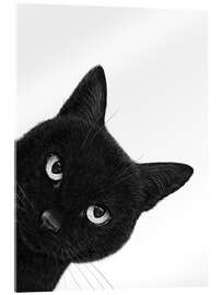 Acrylglasbild Schmollende schwarze Katze - Valeriya Korenkova