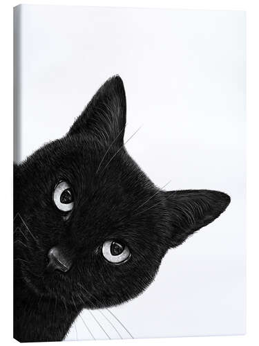 Obraz na płótnie Indignant black cat