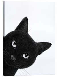 Obraz na płótnie Indignant black cat
