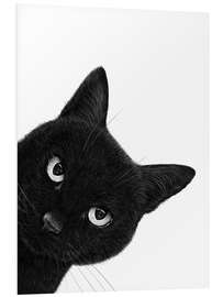 Quadro em PVC Indignant black cat - Valeriya Korenkova