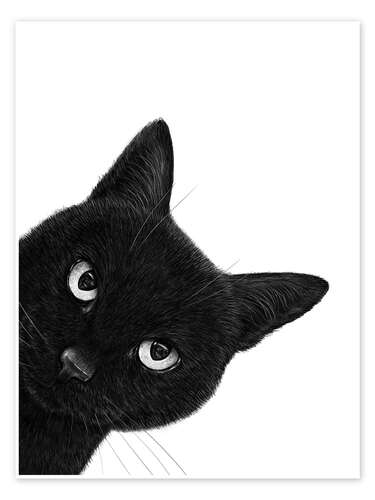 Póster Indignant black cat