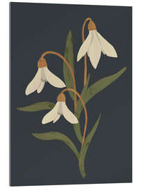 Acrylic print Snowdrops - ThingDesign