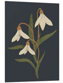 Foam board print Snowdrops