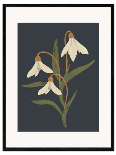 Framed art print Snowdrops