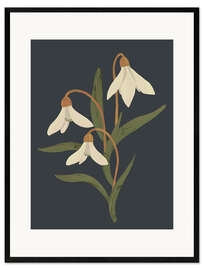 Framed art print Snowdrops