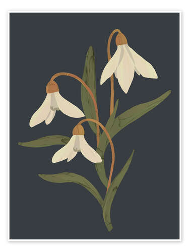 Poster Snowdrops