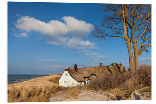 Quadro em acrílico Beach and Deichhaus in Ahrenshoop on the Baltic Sea