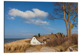 Cuadro de aluminio Beach and Deichhaus in Ahrenshoop on the Baltic Sea - Christian Müringer