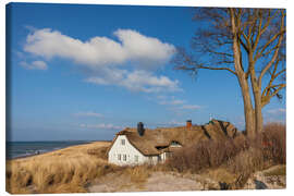 Lienzo Beach and Deichhaus in Ahrenshoop on the Baltic Sea - Christian Müringer